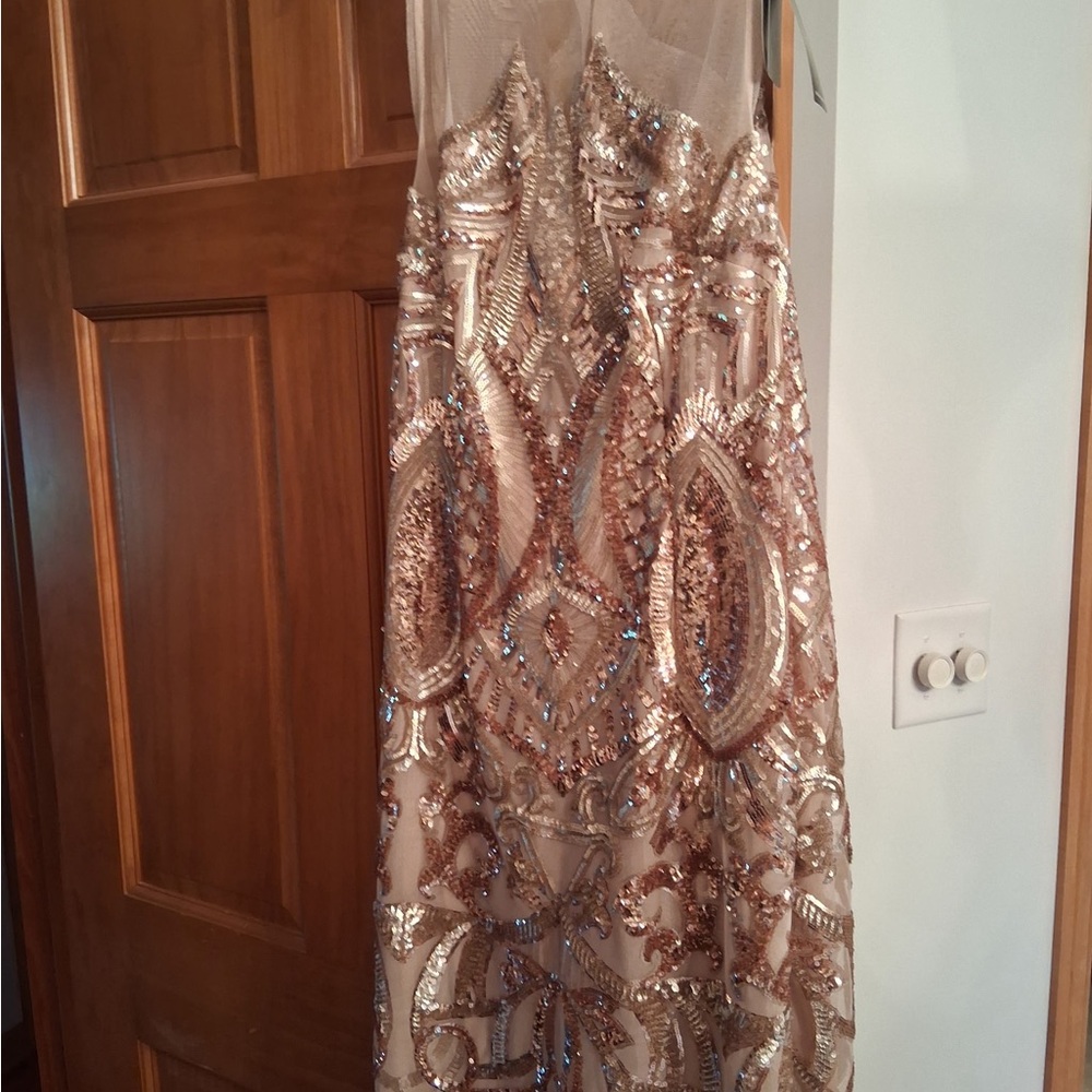 Adrianna Papell Rose Gold Sequin Dress